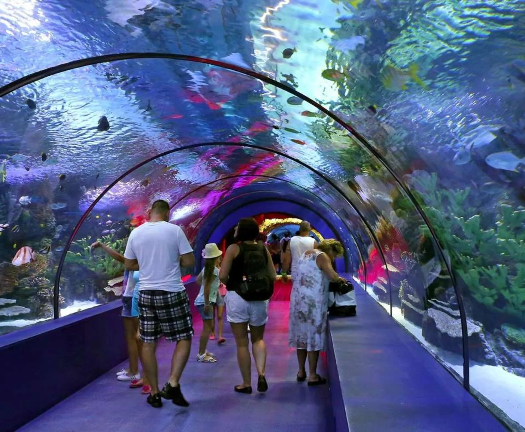 Antalya Aquarium