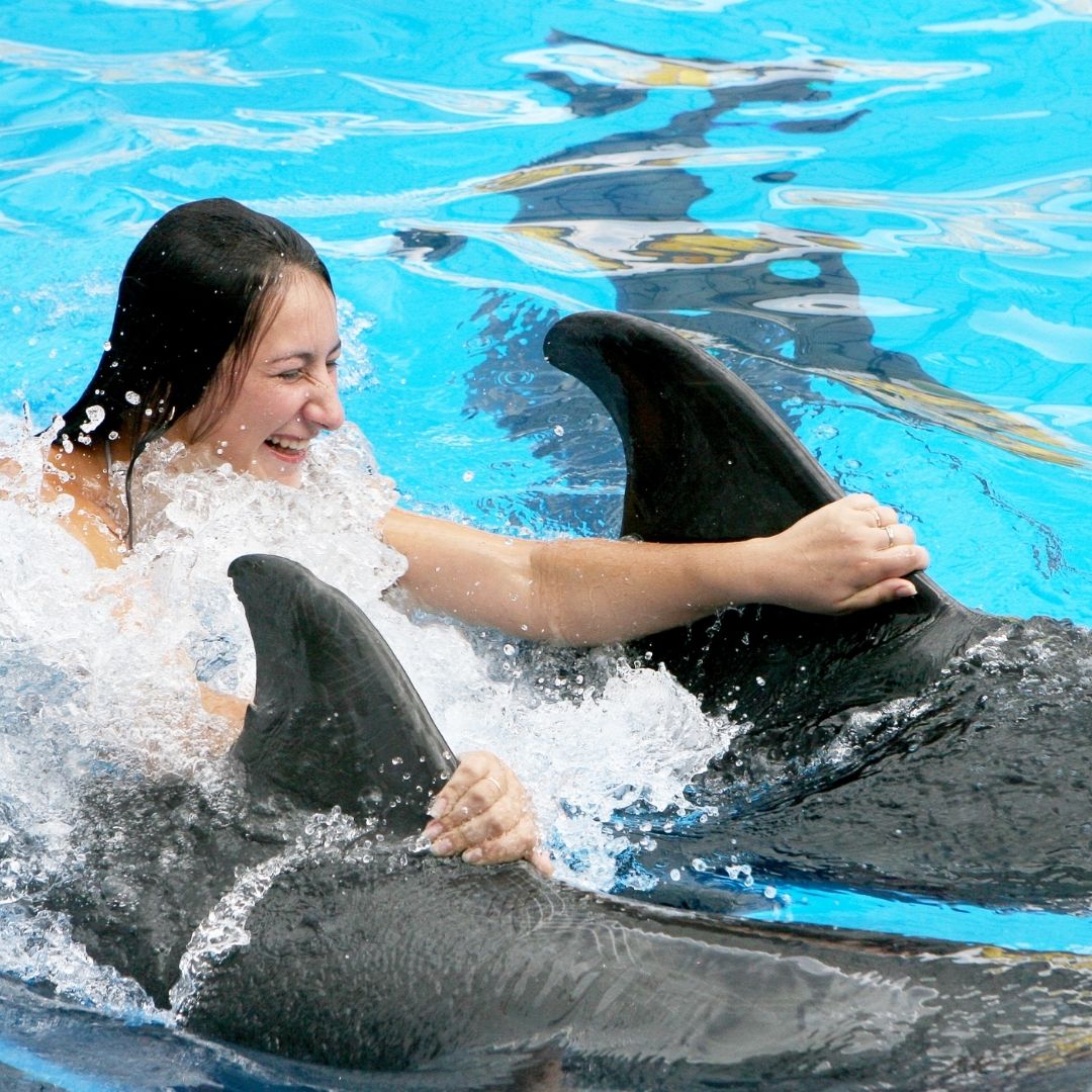 Swimming with dolphins in Türkiye
